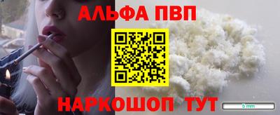 стаф Гай