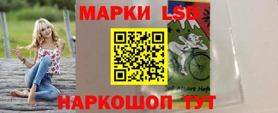 стаф Гай