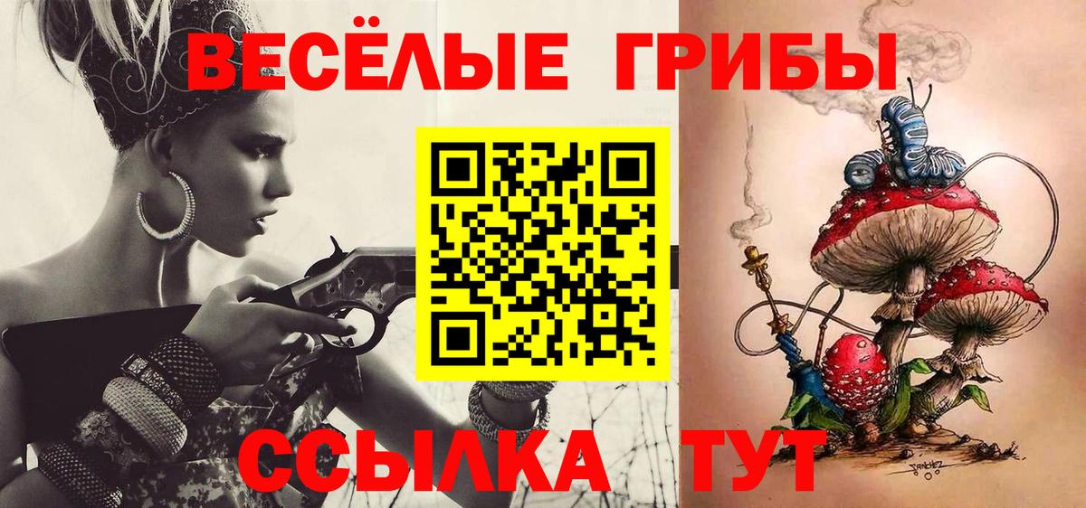 Галлюциногенные грибы Cubensis  дарнет шоп  Малгобек  Вход с VPN 