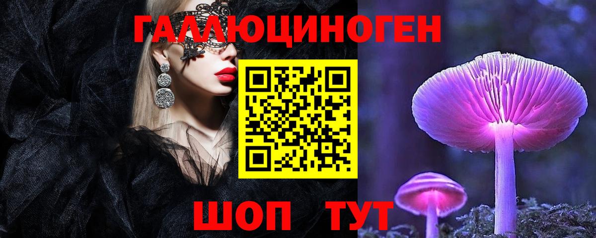 Галлюциногенные грибы Cubensis Малгобек